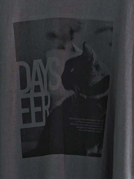 【予約販売】CHIGNON アニマルフォト"CAT"Tee  8461-101KK