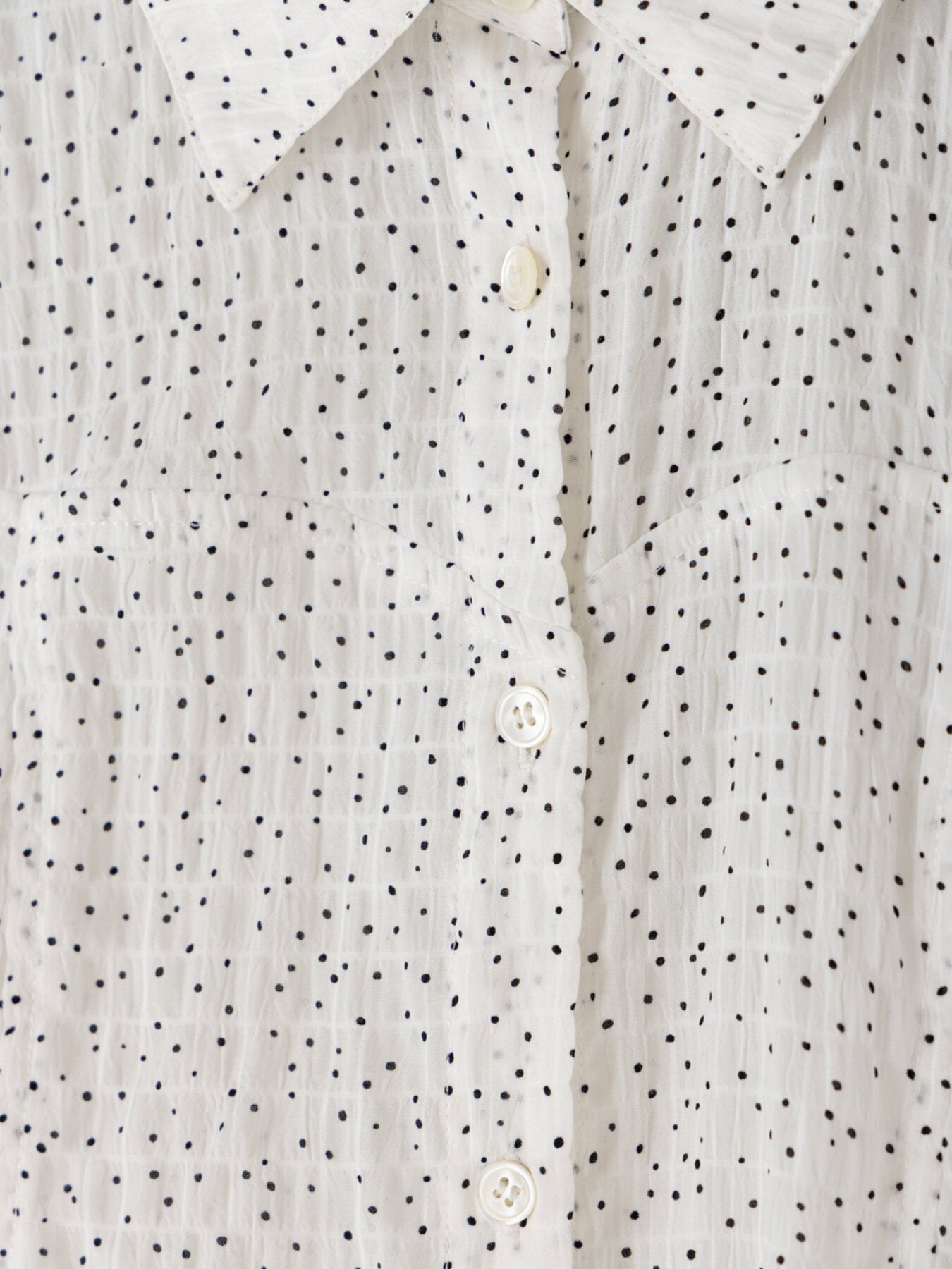 【予約販売】Mewl DOT SHEER SHIRT M264-18175